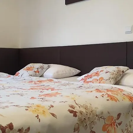 Apartma Na Hane Kostelec na Hane Exterior photo