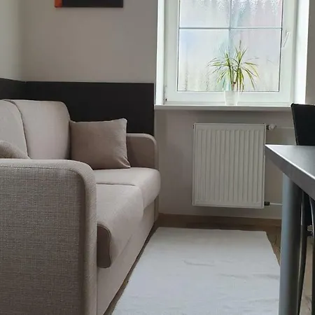 Apartma Na Hane Kostelec na Hane Exterior photo